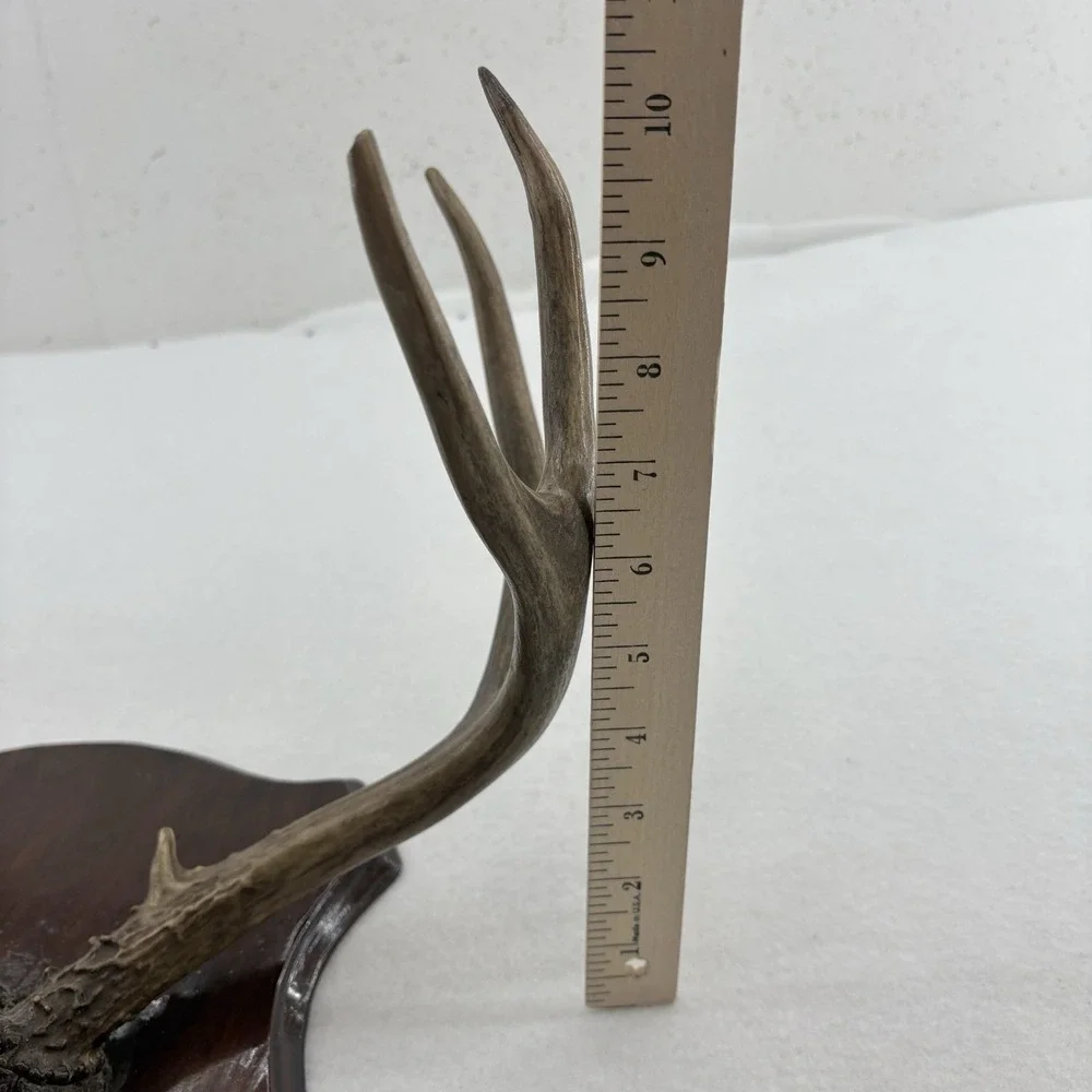 N/A rustic deer